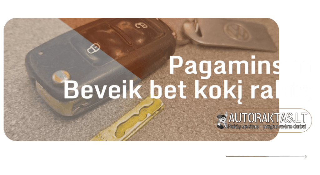 raktu centras servisas kaune